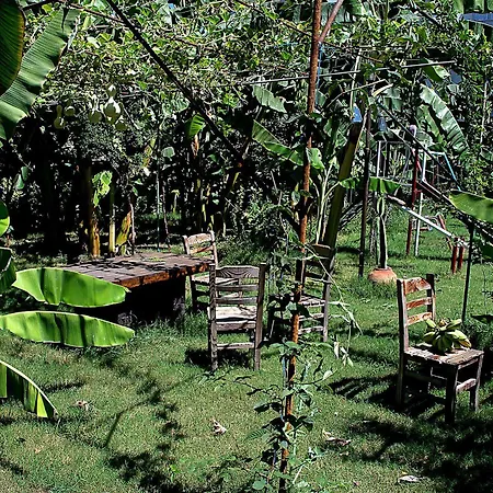 Kardelen Apart Hotel 3*